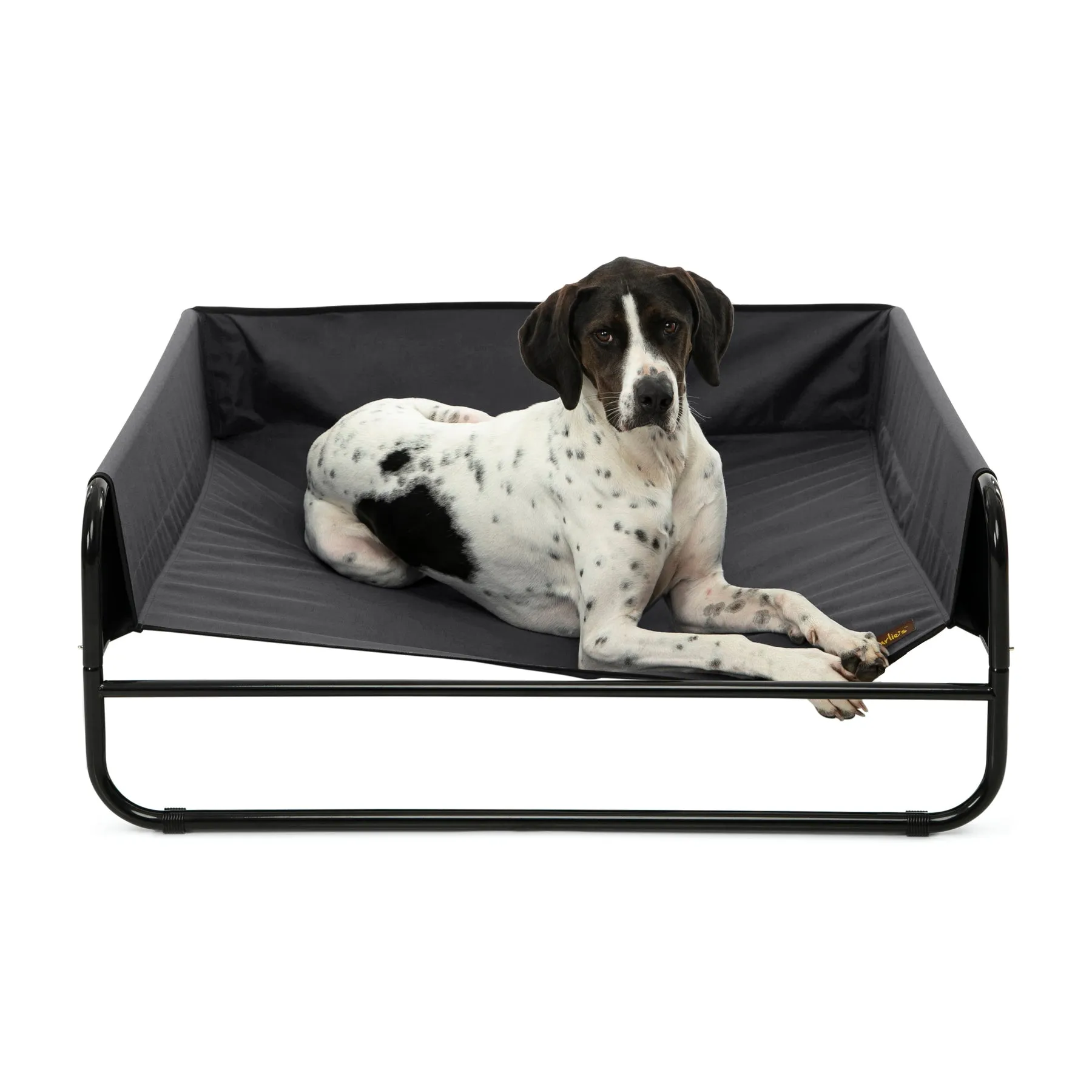 Charlie's High Walled Outdoor Trampoline Dog Bed Black Small