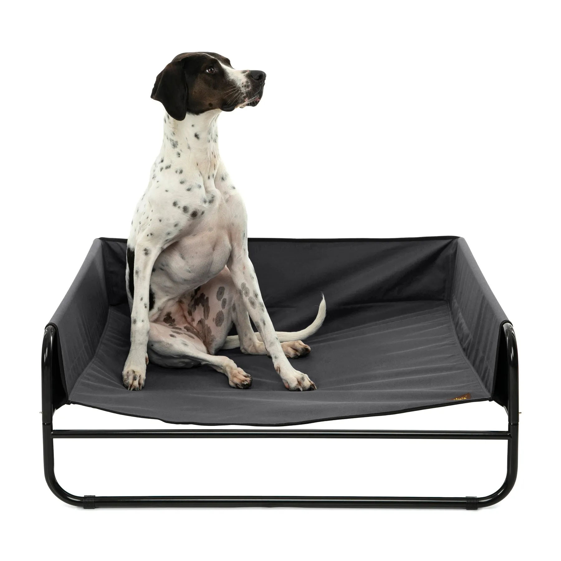 Charlie's High Walled Outdoor Trampoline Dog Bed Black Small