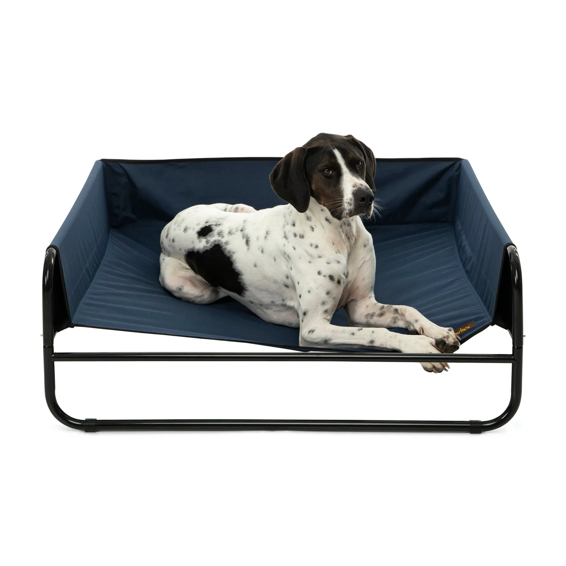 Charlie's High Walled Outdoor Trampoline Dog Bed Blue Medium