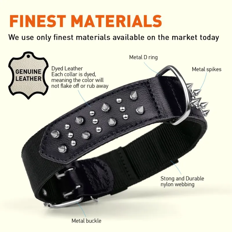 DOGLINE -  Leather/Nylon Collar with Spikes (Black) - 3/4" x 20"-25"