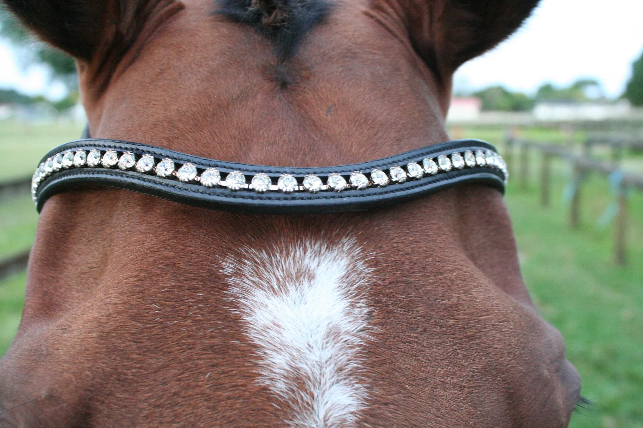 Equiline Swarovski Dressage Bridle BD602