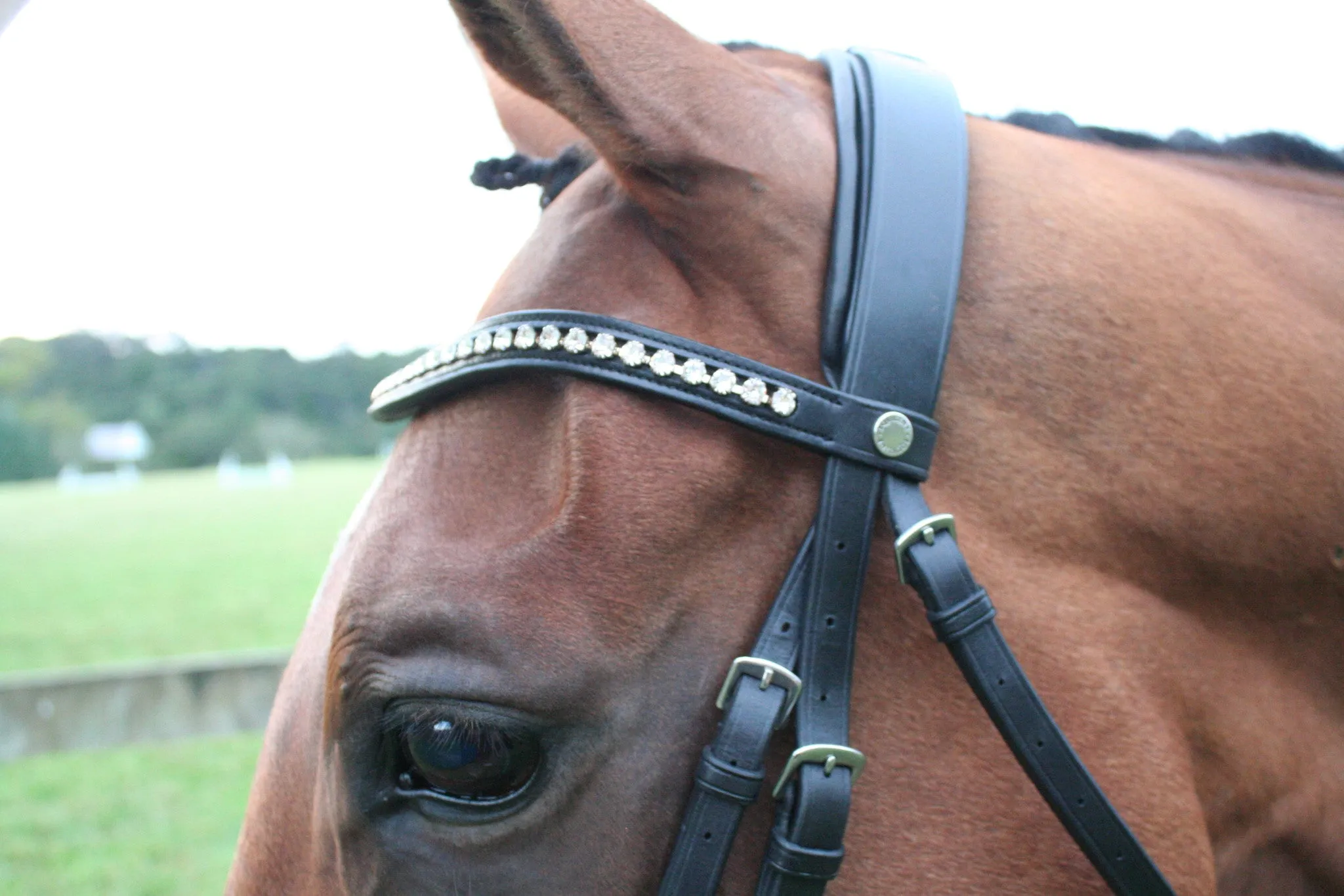Equiline Swarovski Dressage Bridle BD602