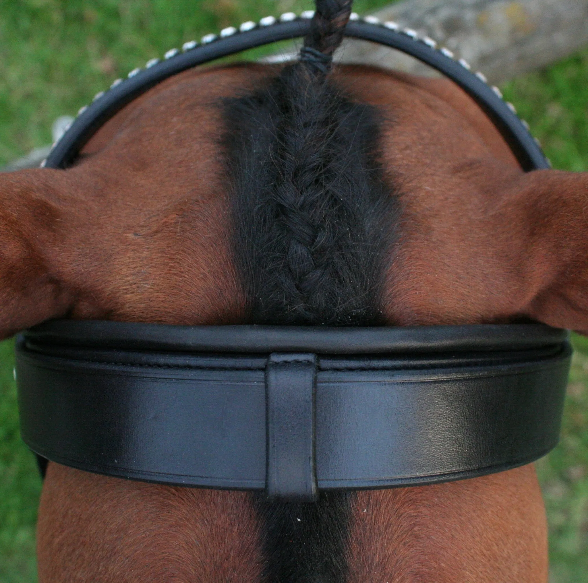 Equiline Swarovski Dressage Bridle BD602
