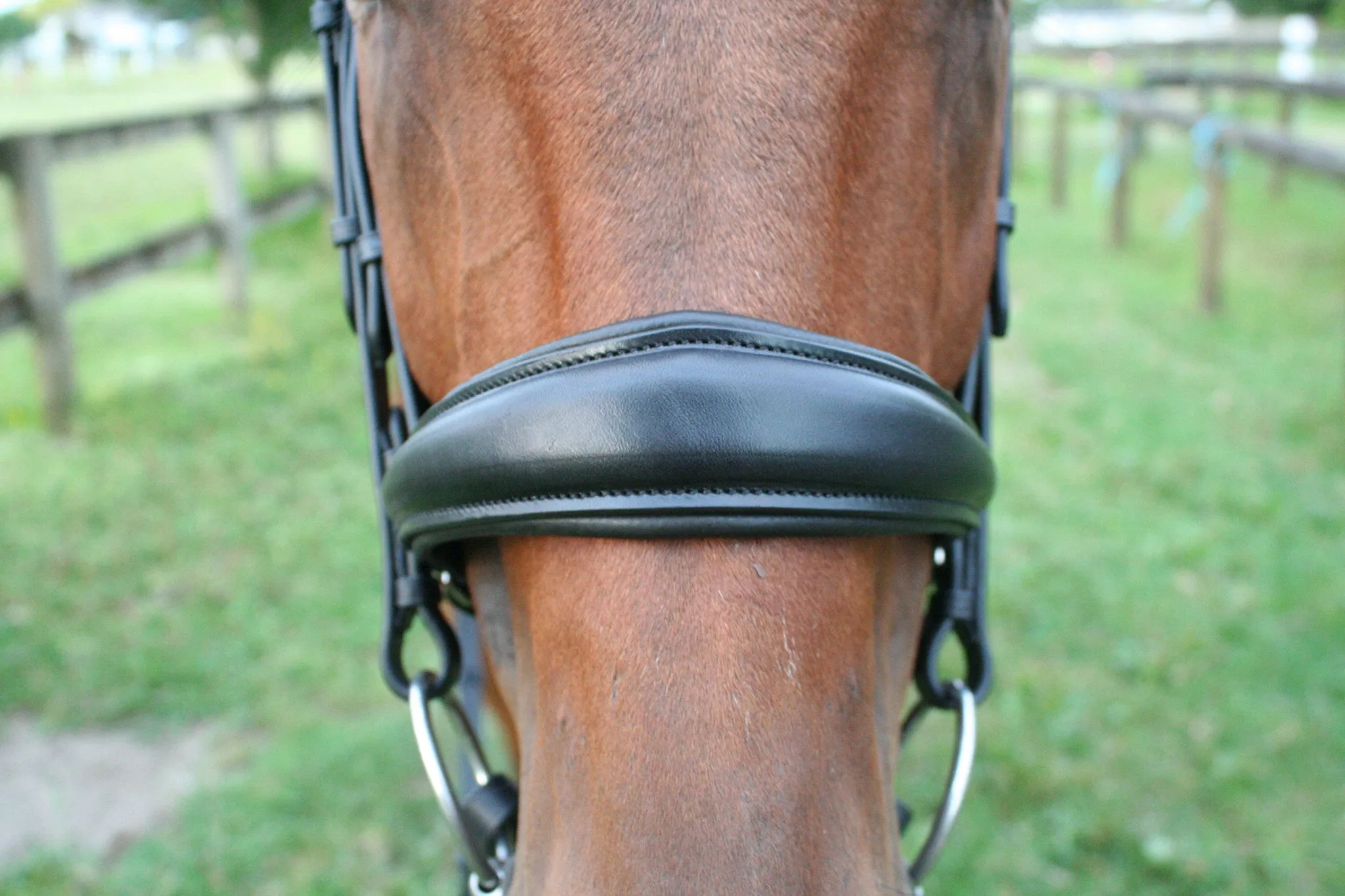 Equiline Swarovski Dressage Bridle BD602