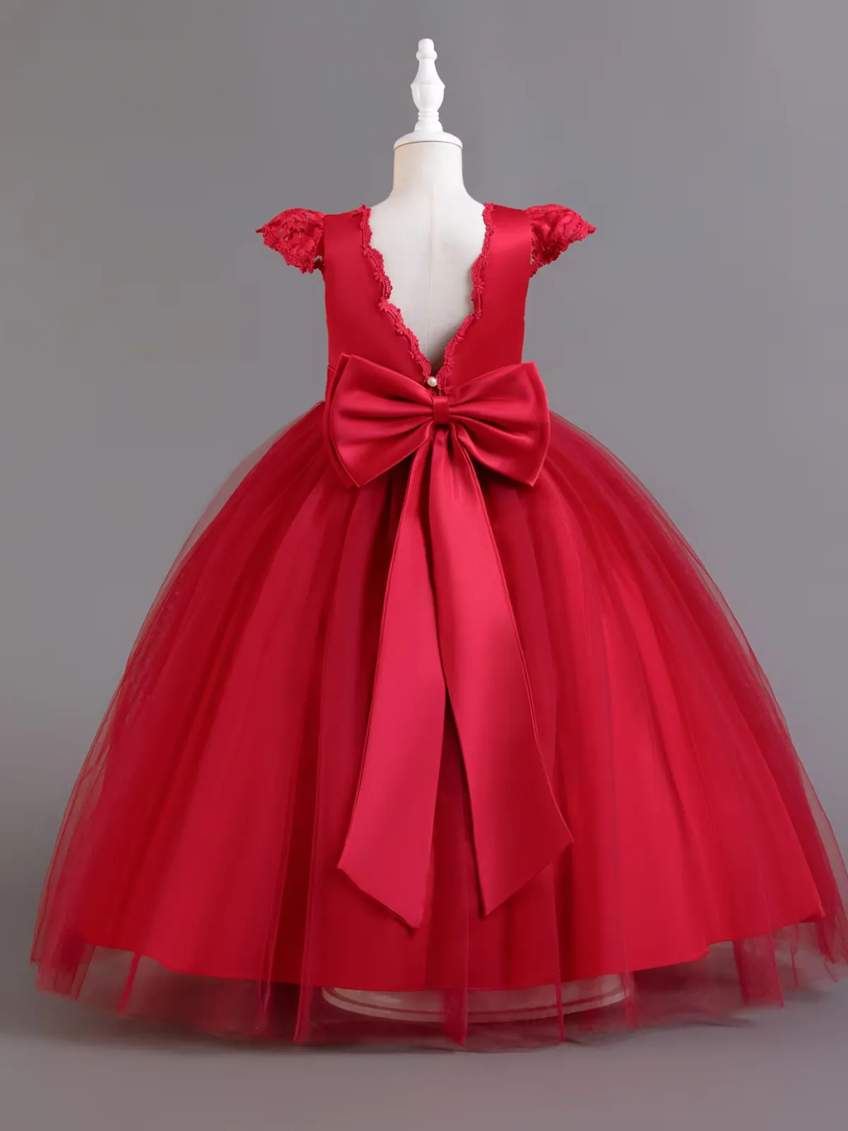 Festive Lace Princess Tulle Dress
