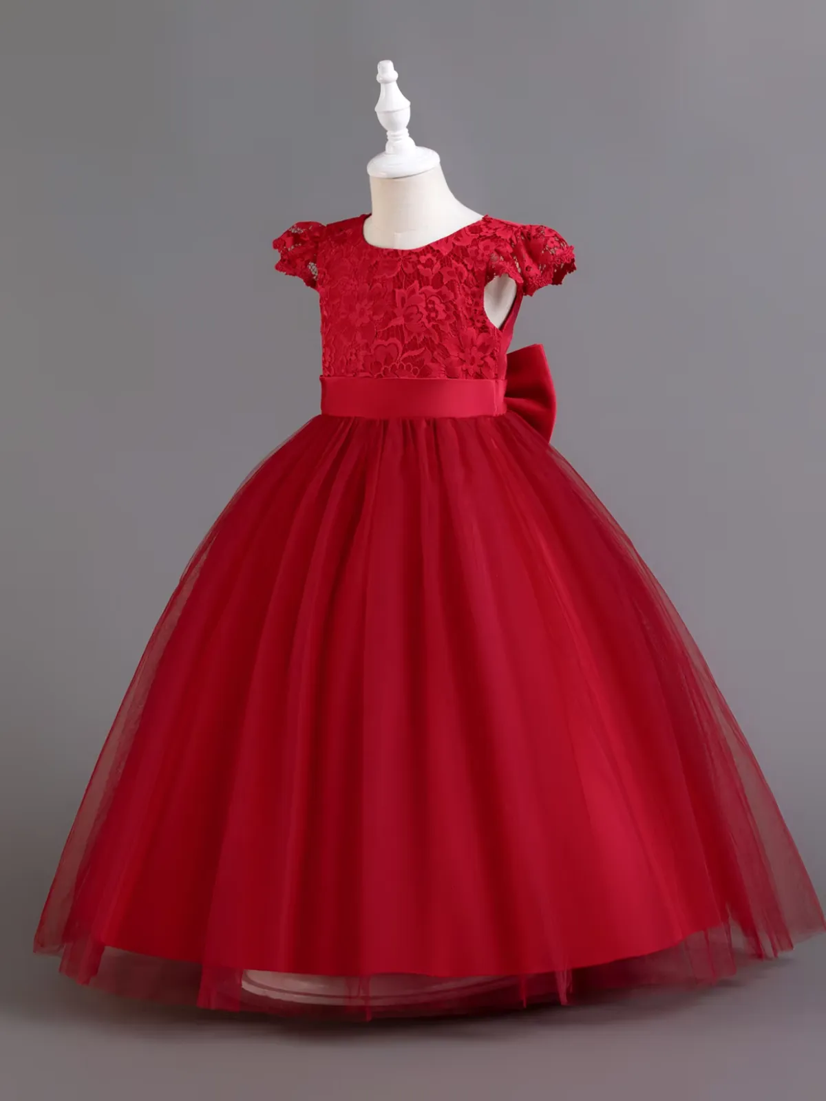 Festive Lace Princess Tulle Dress