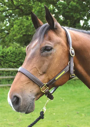 JHL Leather Headcollar