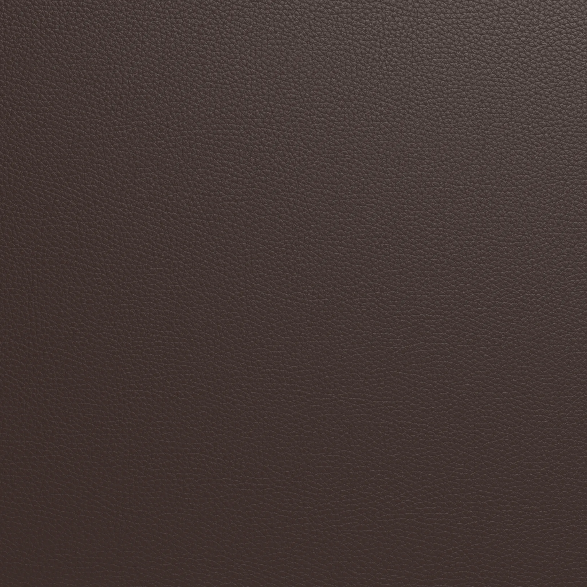 Ladybird Leather Raf Chair