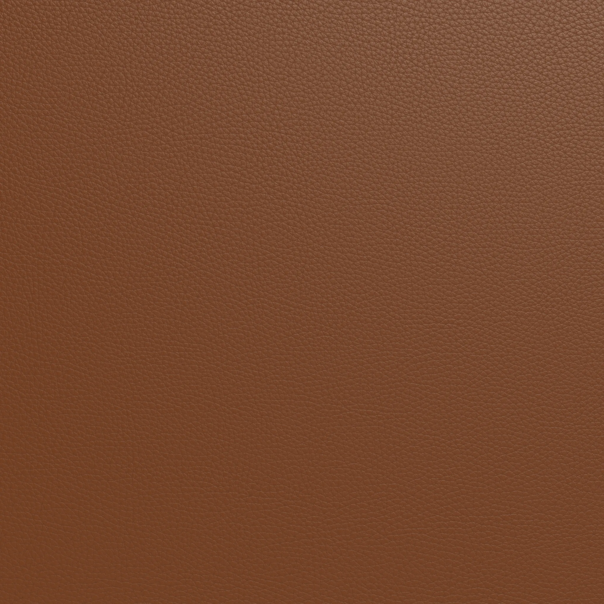 Ladybird Leather Raf Chair