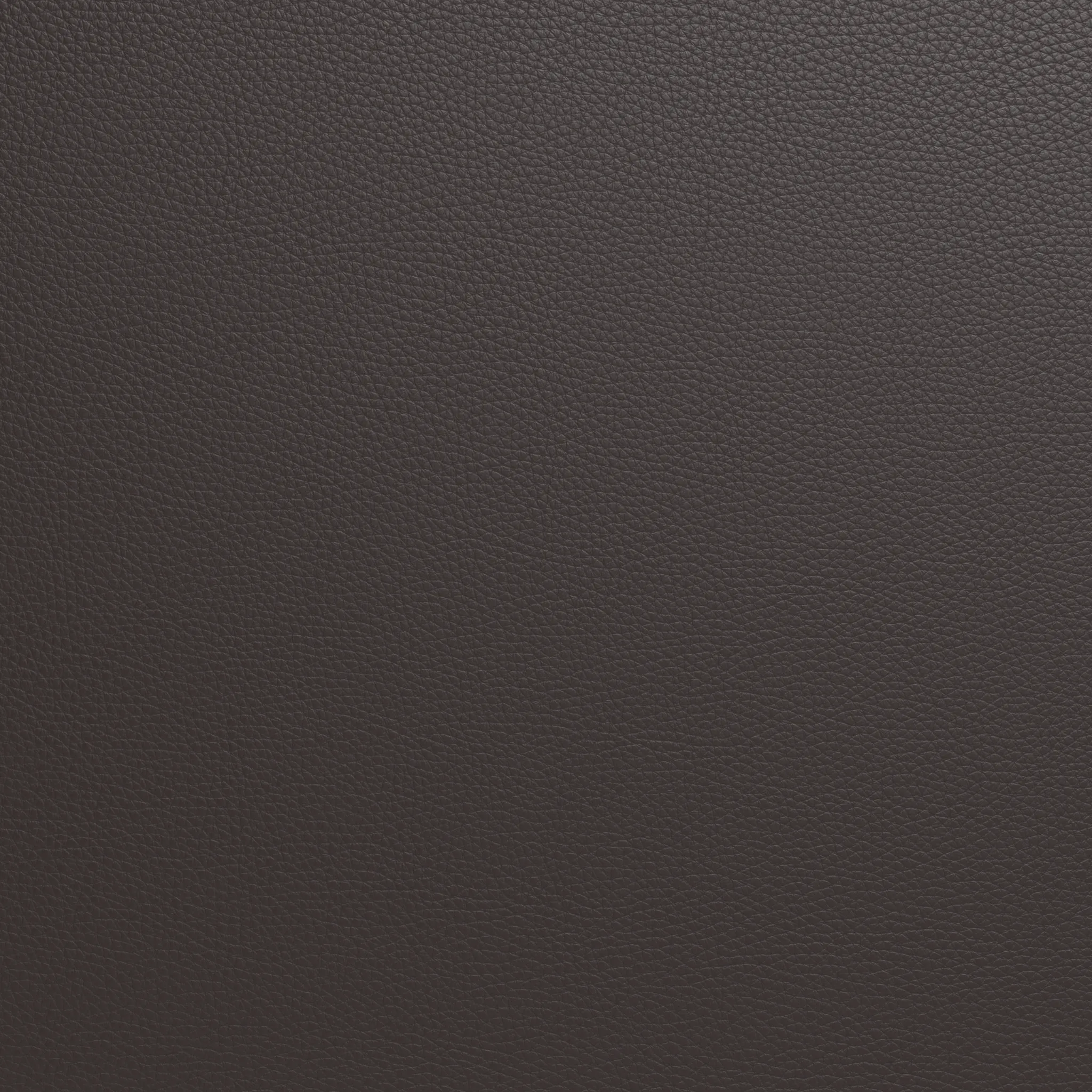 Ladybird Leather Raf Chair