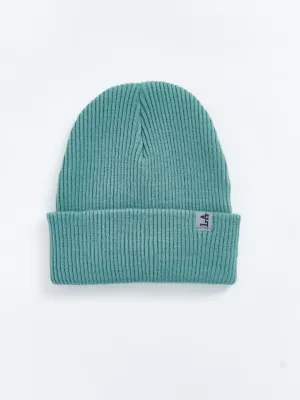 LCW ACCESSORIES

Dark Water Green Basic Boy's Beret