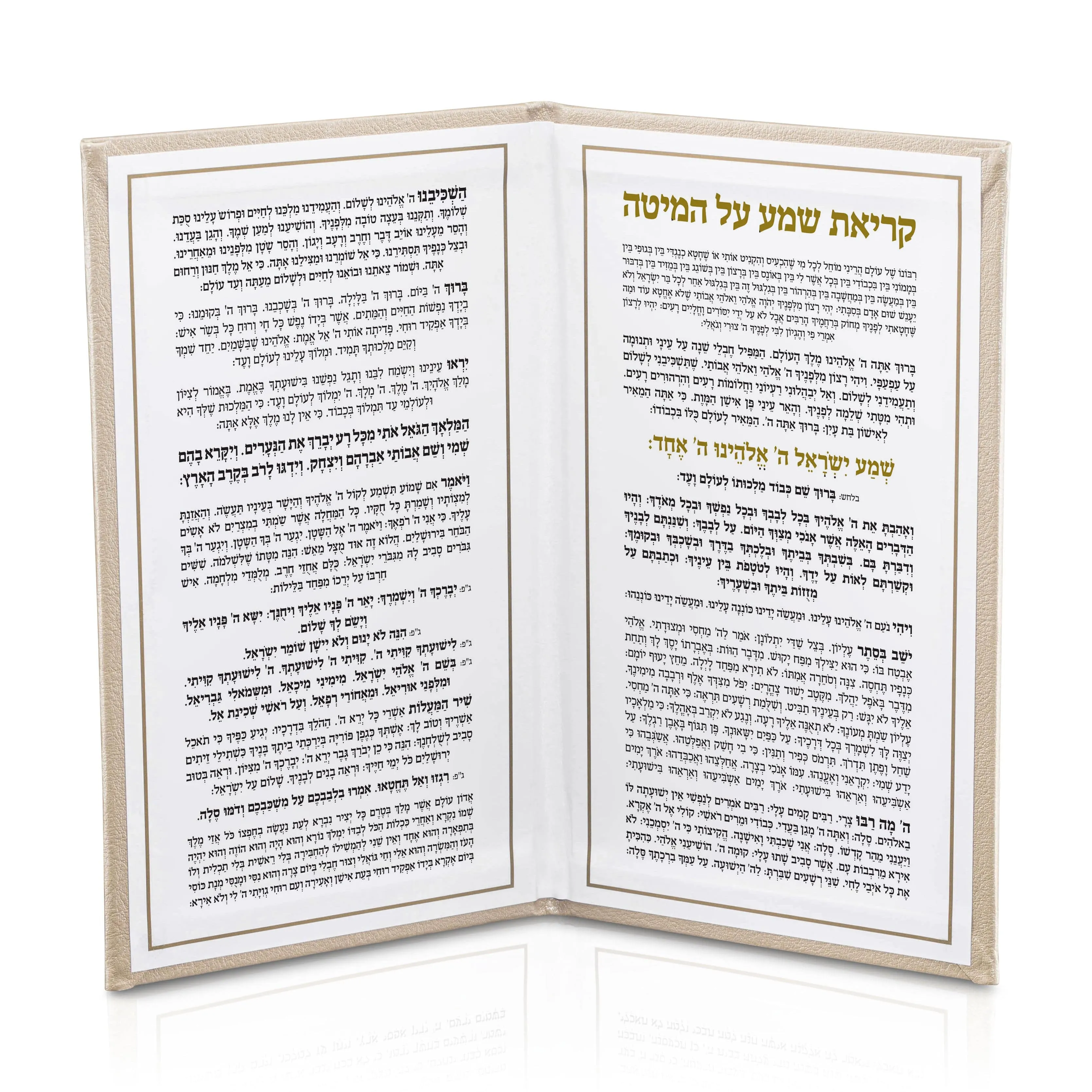 LEATHER KRIYAS SHEMA BOOK