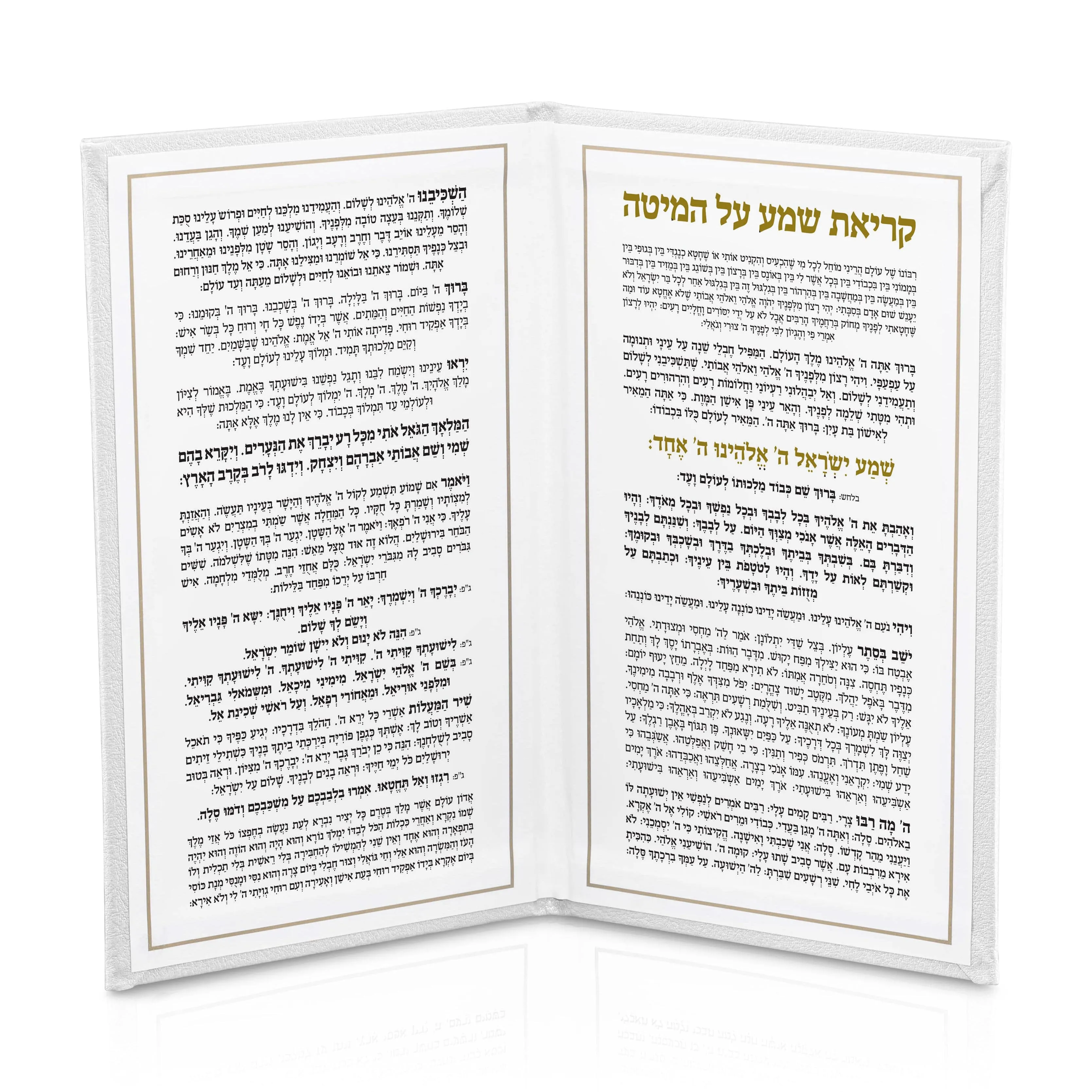 LEATHER KRIYAS SHEMA BOOK
