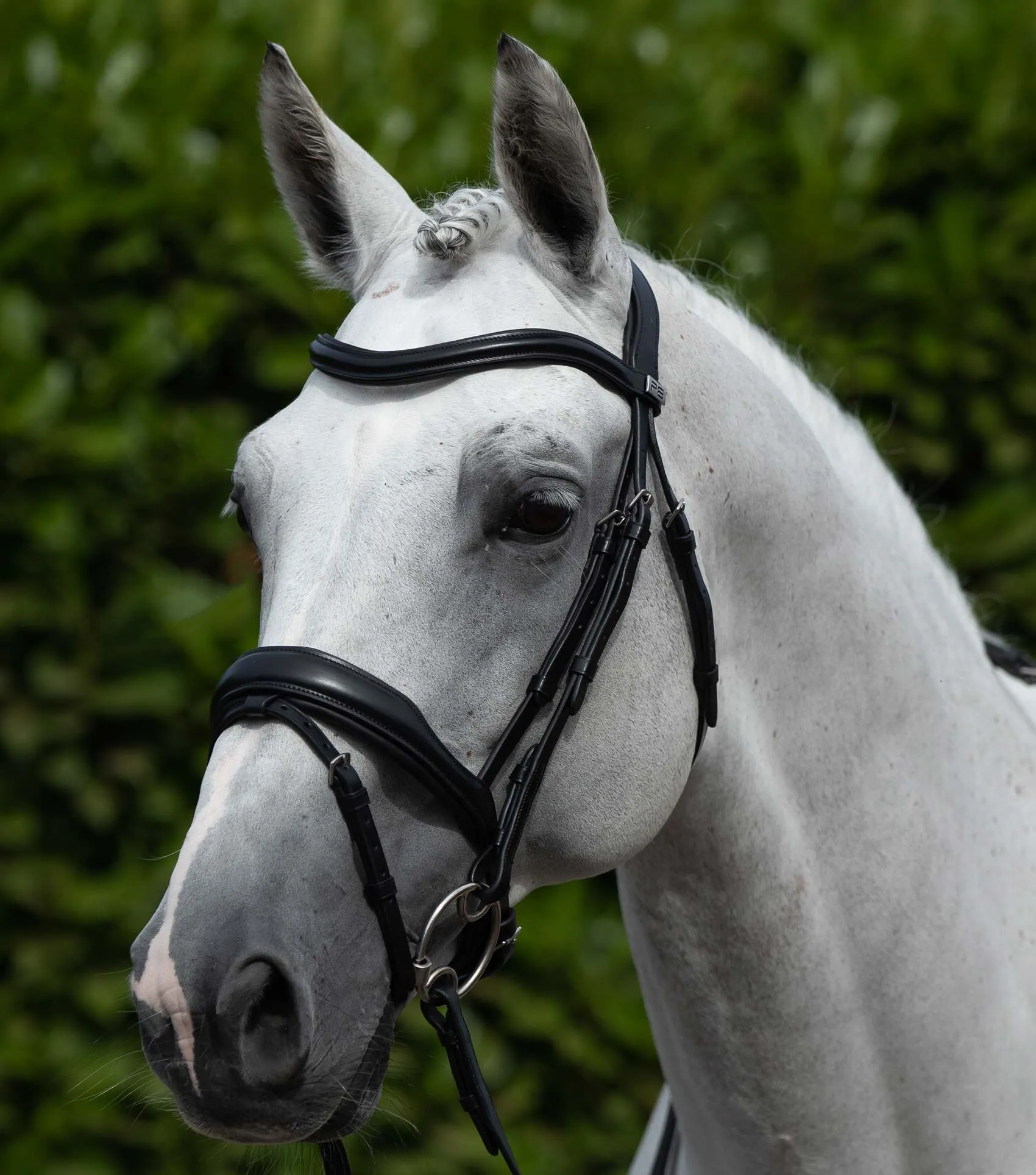 Liscio Plain Shaped Leather Browband Black