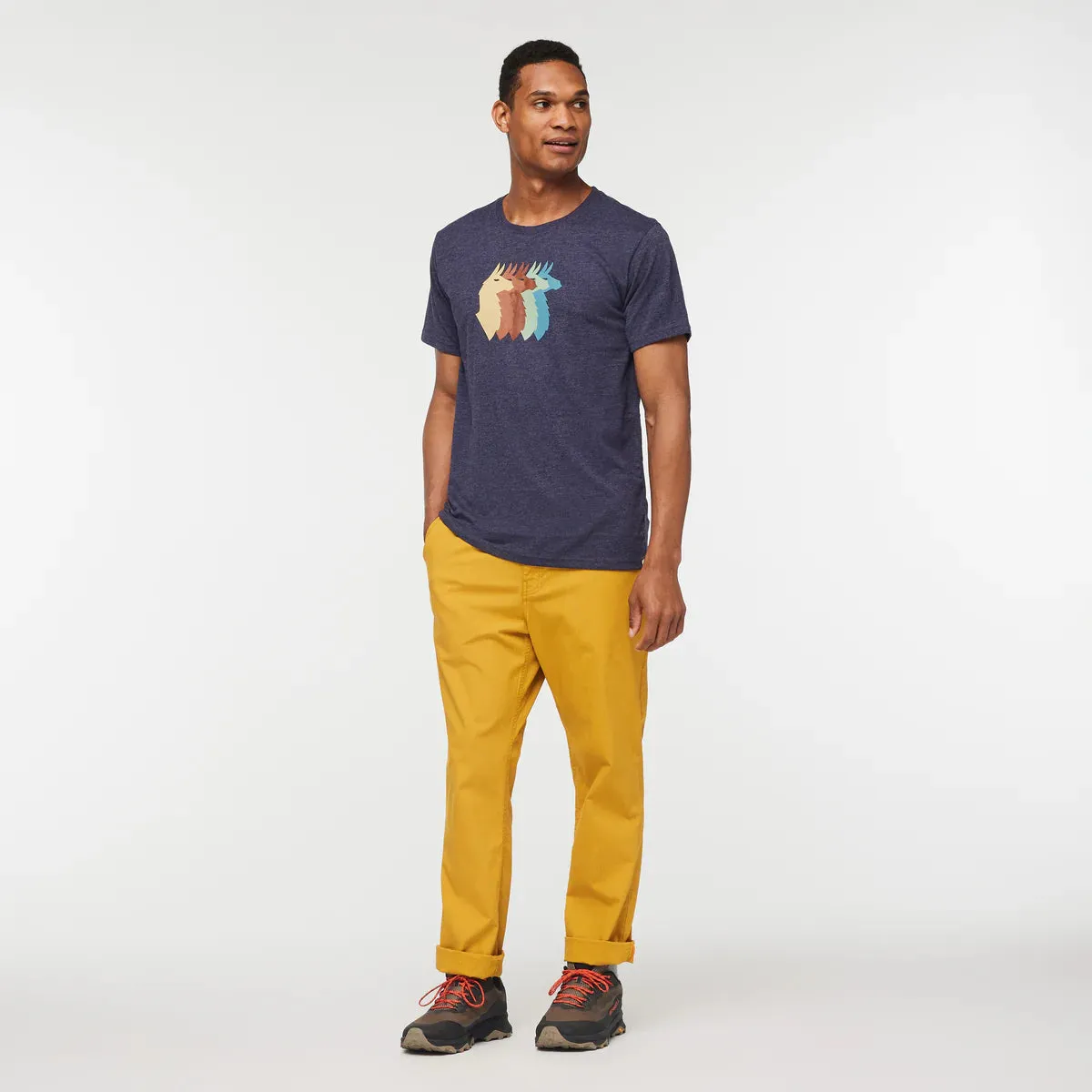 Llama Sequence Organic T-Shirt (Men's) - Past Season