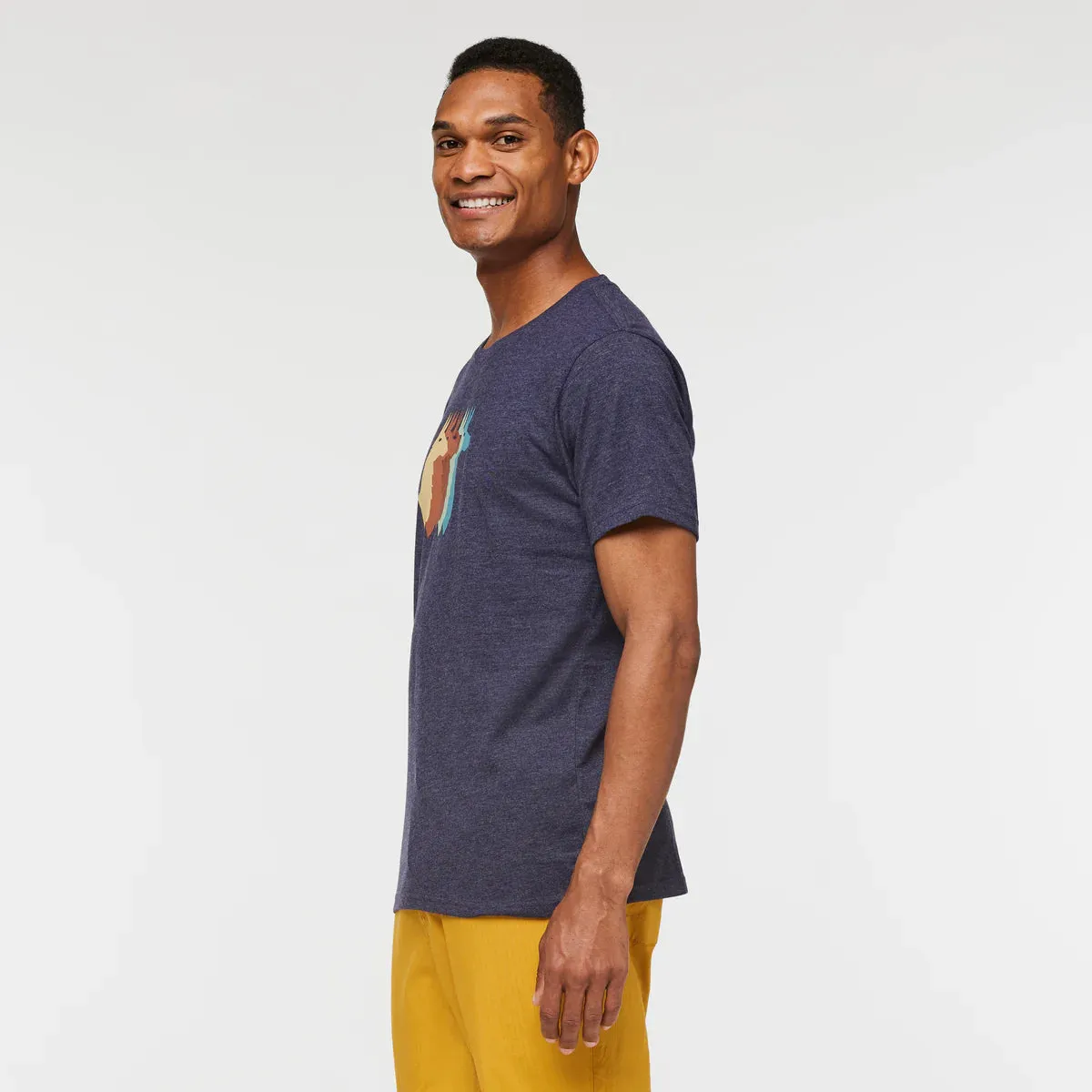 Llama Sequence Organic T-Shirt (Men's) - Past Season