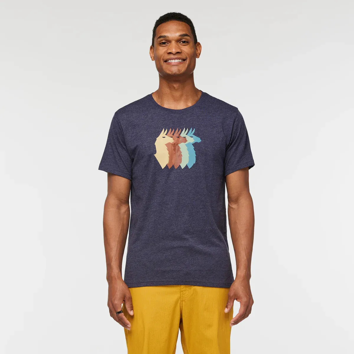 Llama Sequence Organic T-Shirt (Men's) - Past Season