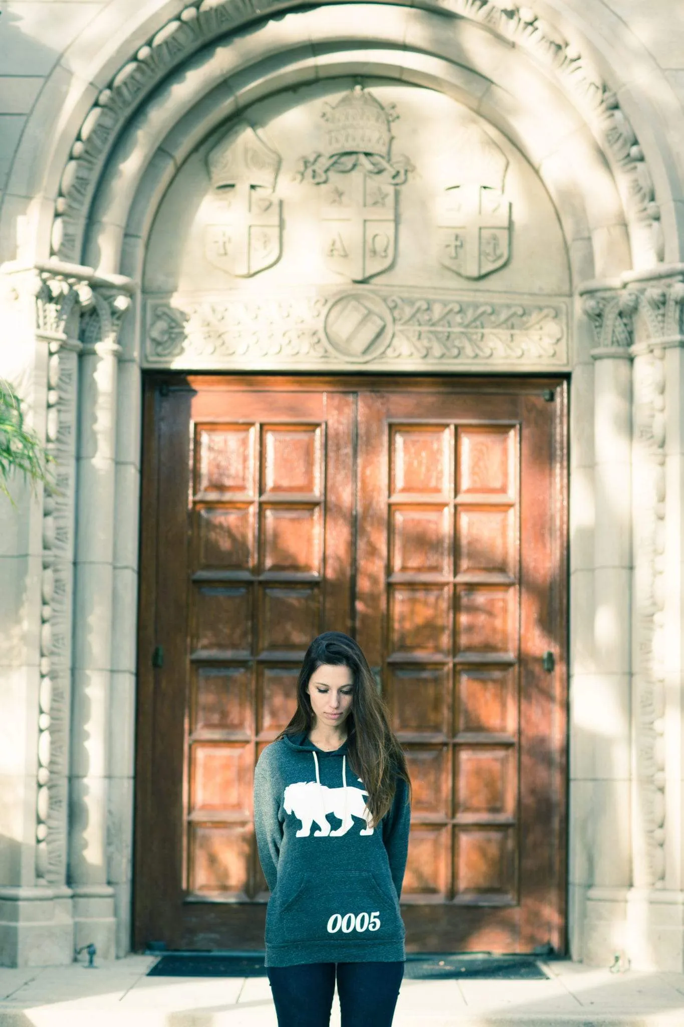 Men's - Je Suis un Lion Heather Grey Pullover Hoodie