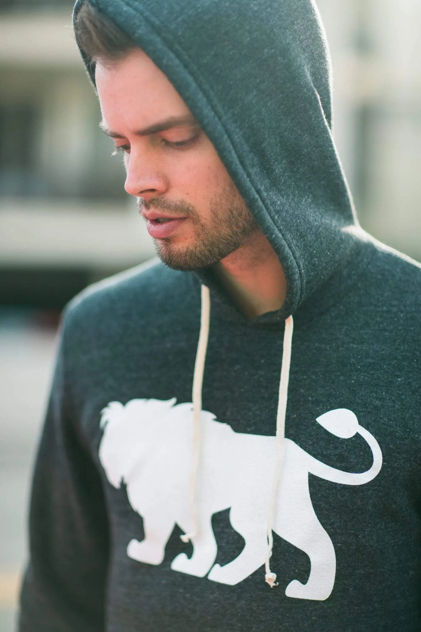 Men's - Je Suis un Lion Heather Grey Pullover Hoodie