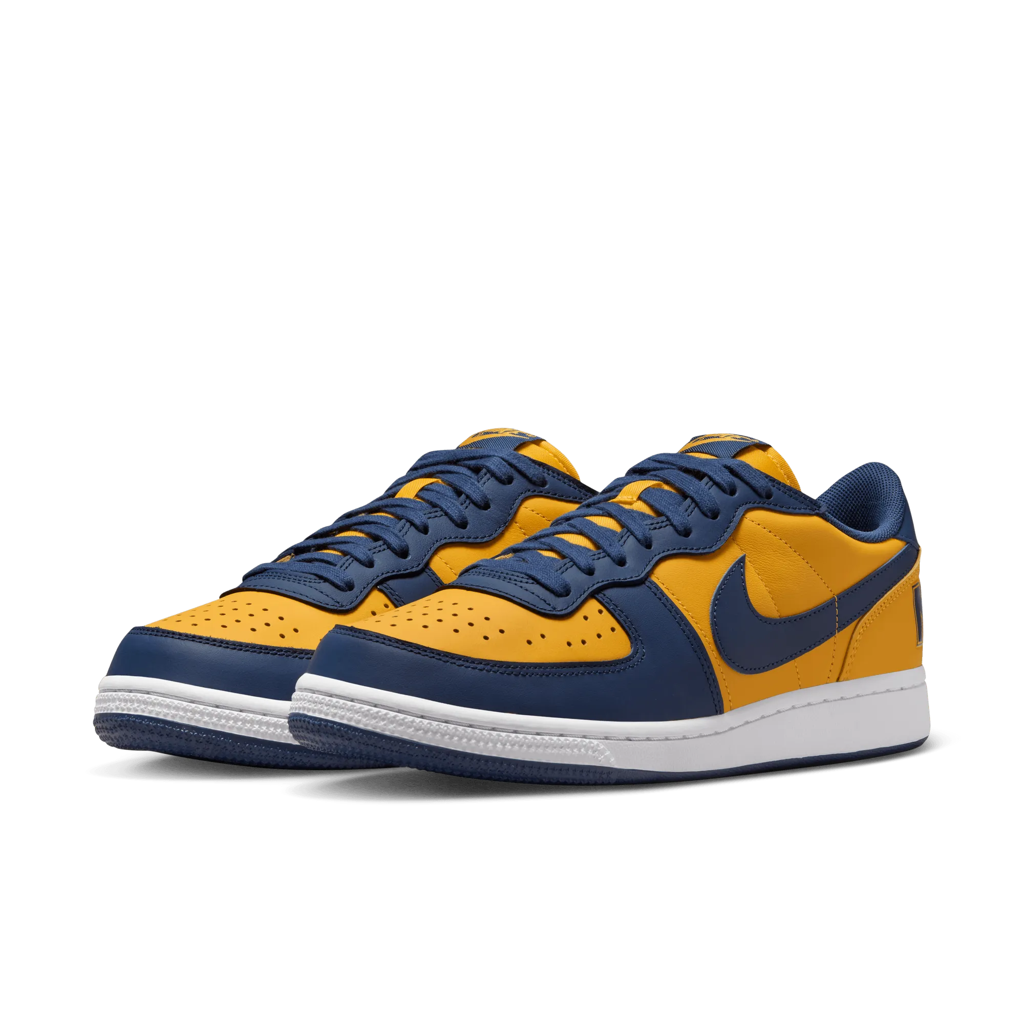 NIKE TERMINATOR LOW