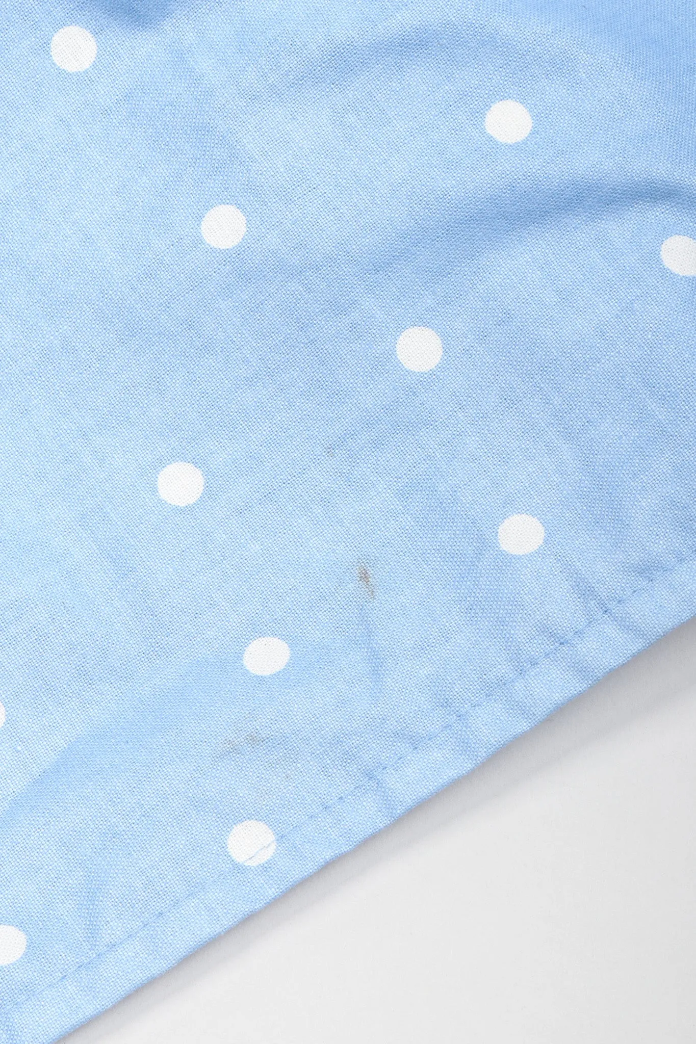 Prairie Polka Dot Ball Gown