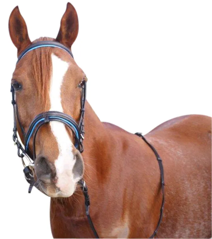 Retro Eventing Bridle