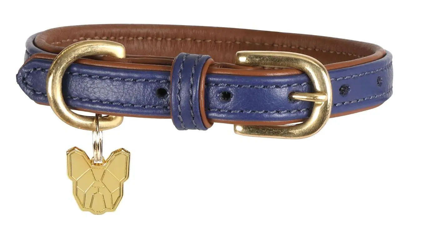Shires Digby & Fox Padded Leather Dog Collar