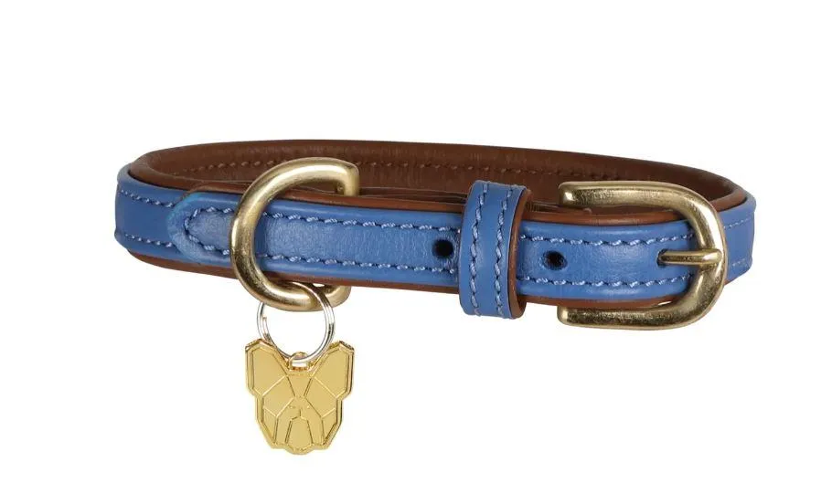 Shires Digby & Fox Padded Leather Dog Collar