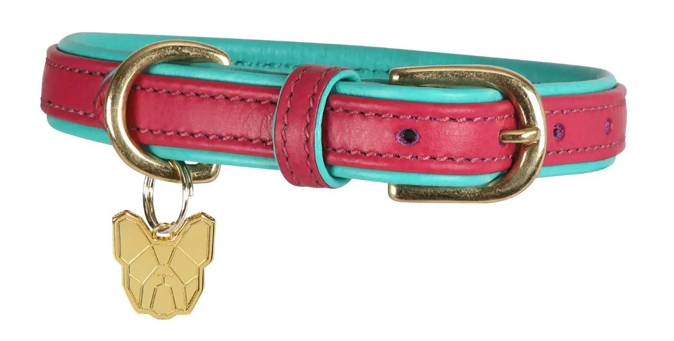 Shires Digby & Fox Padded Leather Dog Collar