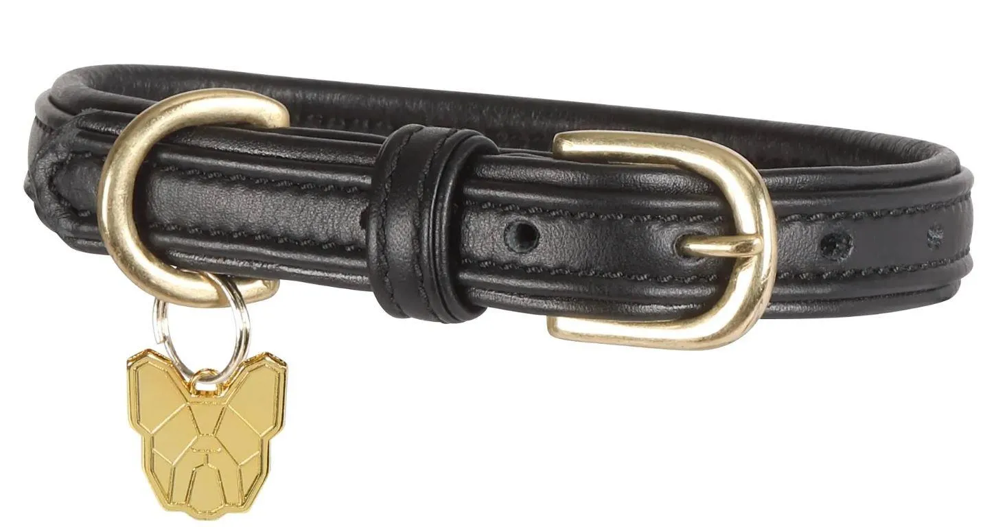 Shires Digby & Fox Padded Leather Dog Collar
