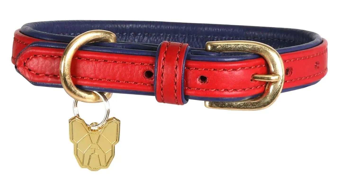Shires Digby & Fox Padded Leather Dog Collar