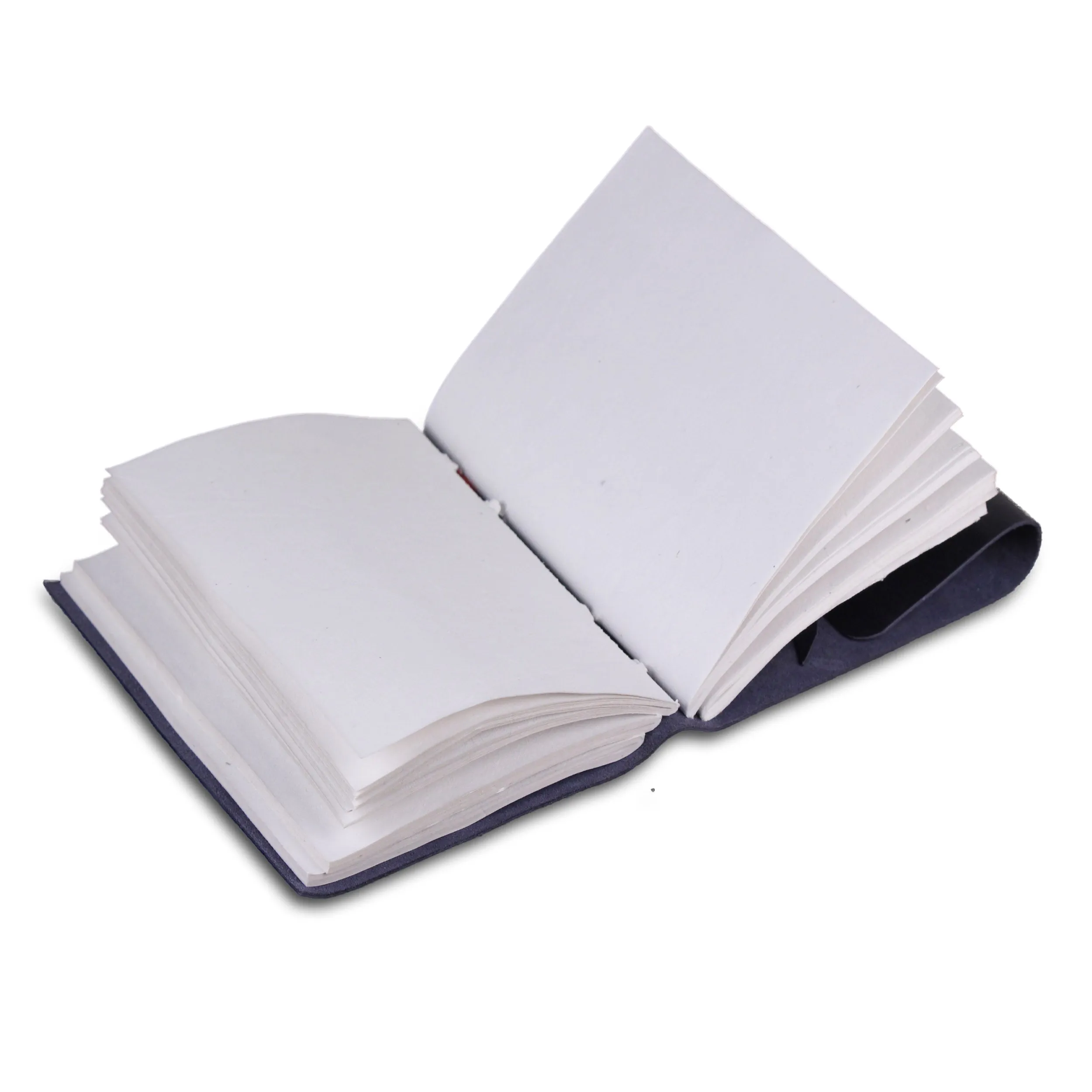 The Textnote Sapling