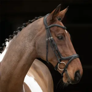 Velociti Rapida Comfort Flash Bridle