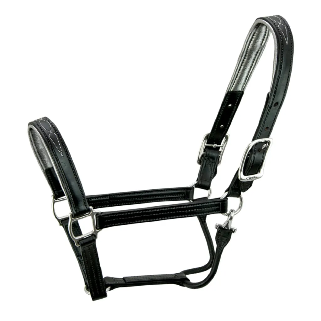 Walsh Signature Halter
